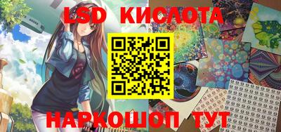 стаф Заводоуковск