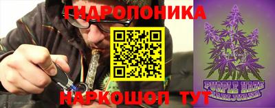 стаф Заводоуковск