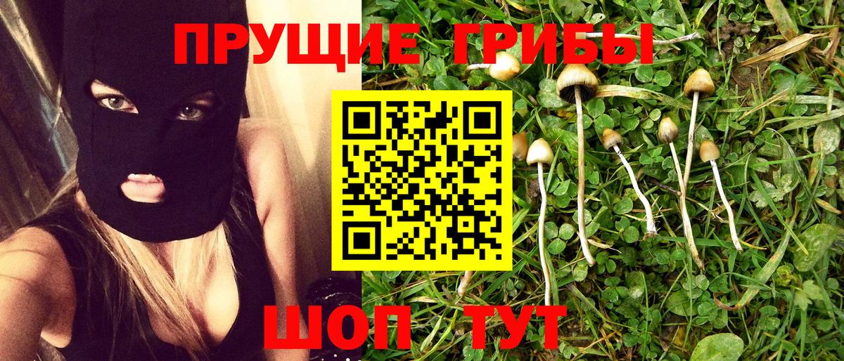 Галлюциногенные грибы Psilocybe  Вход с VPN  Надым 